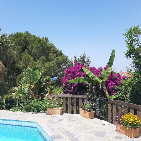 Villa Suites Lagonisi Luxury Buitenkant foto