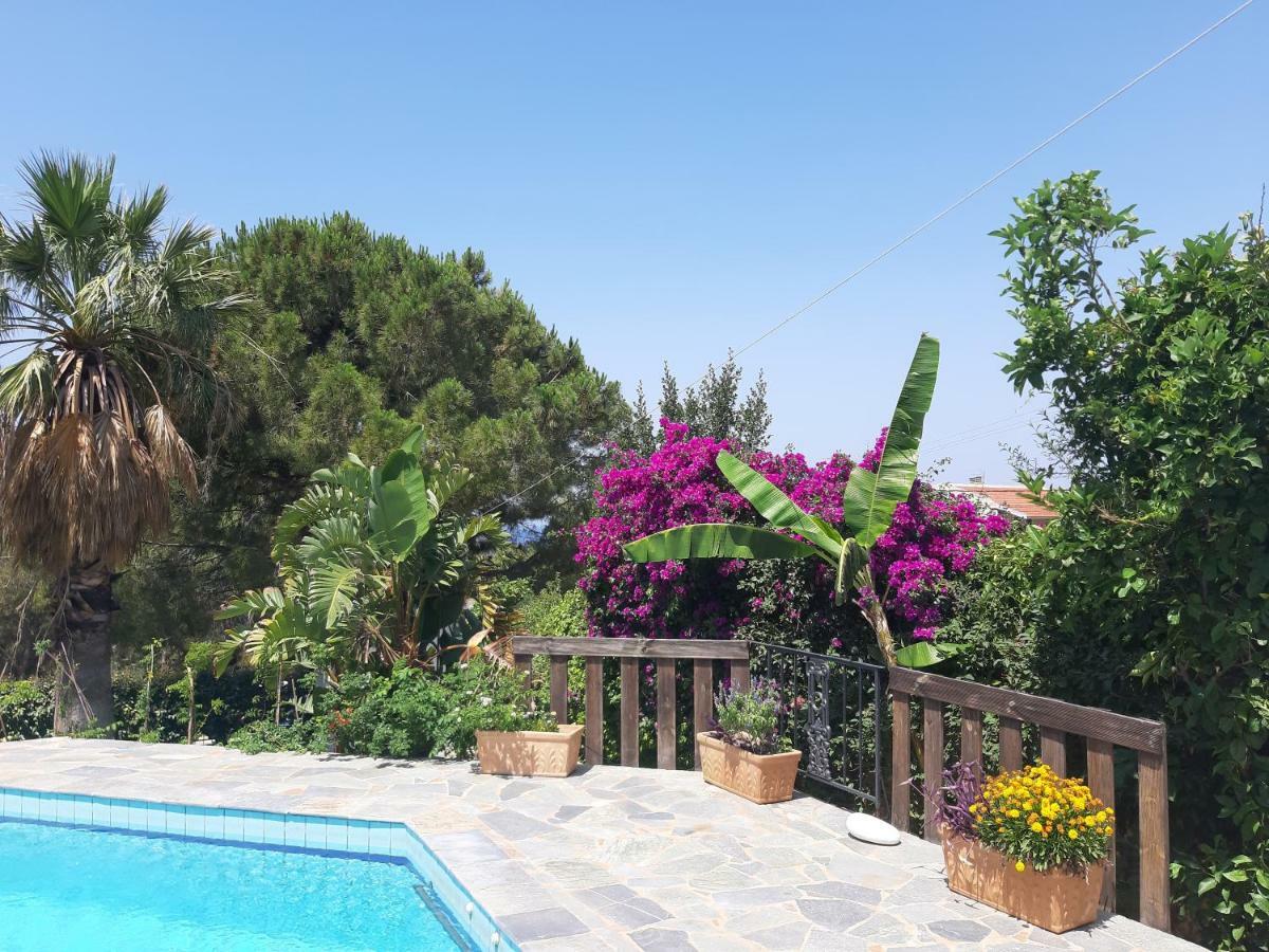 Villa Suites Lagonisi Luxury Buitenkant foto